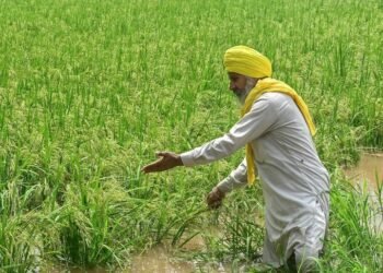 चंडीगढ़ में तेज हवाओं से मचा हाहाकार   पंजाब में बाढ़ का खतरा: रावी-ब्यास-सतलुज से सटे जिलों में अलर्ट