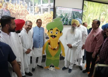 LUDHIANA:लुधियाना दौरे पर पहुंचे केंद्रीय कृषि मंत्री शिवराज सिंह चौहान,ICAR मक्का अनुसंधान केंद्र का किया उद्घाटन,बाढ़ प्रभावितों को मिली 1.60 लाख रुपये की राहत