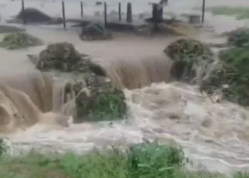 WEATHER UPDATE: तमिलनाडु में लगातार भारी बारिश, प्रमुख बांधों से छोड़ा गया  पानी आंध्र प्रदेश में रेड और ऑरेंज अलर्ट जारी ,पहाड़ी इलाकों में बर्फबारी से बढ़ी ठंड