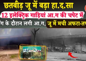 CHHATBIR ZOO में ई-रिक्शा में चार्जिंग के दौरान लगी आग,20 से 25 गाड़ियां जलकर राख , दमकल विभाग ने 30 मिनट में पाया आग पर काबू