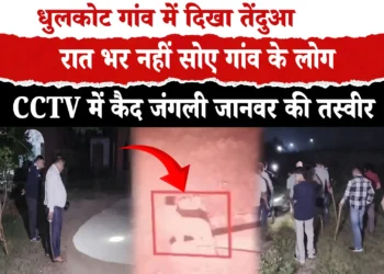 AMBALA के धुलकोट गांव में तेंदुआ दिखाई देने से मचा हड़कंप  CCTV में कैद हुआ जंगली जानवर, पुलिस और वन विभाग ने शुरू किया सर्च ऑपरेशन