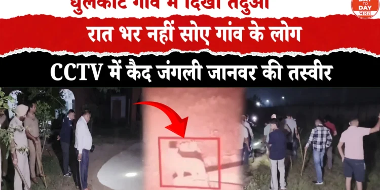 AMBALA के धुलकोट गांव में तेंदुआ दिखाई देने से मचा हड़कंप  CCTV में कैद हुआ जंगली जानवर, पुलिस और वन विभाग ने शुरू किया सर्च ऑपरेशन