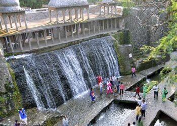 CHANDIGARH के रोक गार्डन में दिनदहाड़े महिला की गला रेतकर हत्या, बाथरूम में मिली खून से सनी लाश, चंडीगढ़ की सुरक्षा पर सवाल