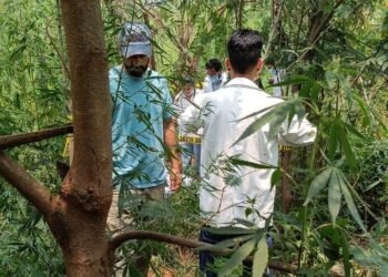 Chandigarh जंगल में मिला युवक का शव, शादी से पहले घर में पसरा मातम