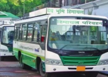 “दिवाली 2025: HRTC ने दिल्ली, चंडीगढ़ और बद्दी से हिमाचल के लिए चलाई 257 विशेष बसें – सुरक्षित और सुविधाजनक यात्रा”