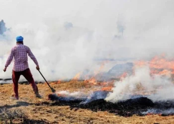 PUNJAB में पराली संकट गहराया एक ही दिन में आए 283 नए मामले, सरकार ने 402 नोडल अफसरों को भेजे नोटिस, CM मान का जिला सबसे आगे