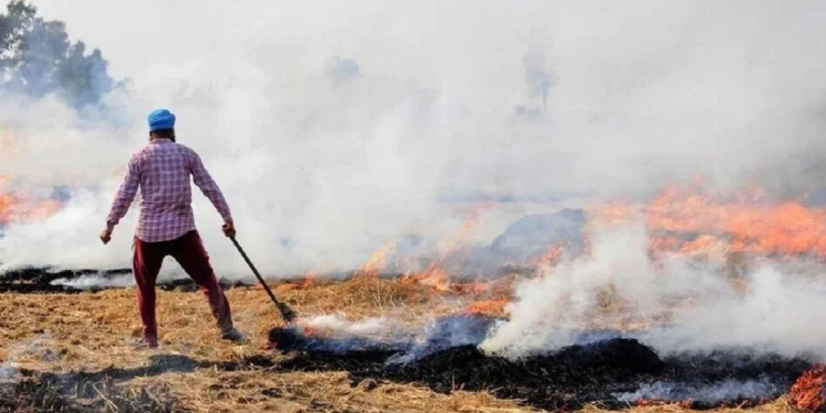 PUNJAB में पराली संकट गहराया एक ही दिन में आए 283 नए मामले, सरकार ने 402 नोडल अफसरों को भेजे नोटिस, CM मान का जिला सबसे आगे