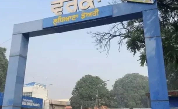 LUDHIANA: वेरका मिल्क प्लांट में एयर हीटर ब्लास्ट, एक कर्मचारी की मौत, 5 कर्मचारी गंभीर रूप से घायल