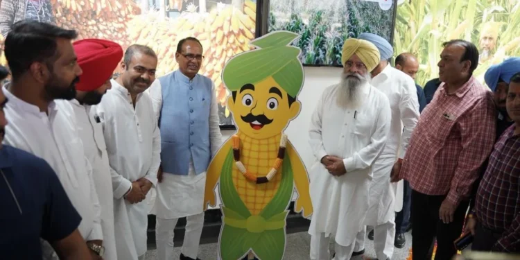 LUDHIANA:लुधियाना दौरे पर पहुंचे केंद्रीय कृषि मंत्री शिवराज सिंह चौहान,ICAR मक्का अनुसंधान केंद्र का किया उद्घाटन,बाढ़ प्रभावितों को मिली 1.60 लाख रुपये की राहत