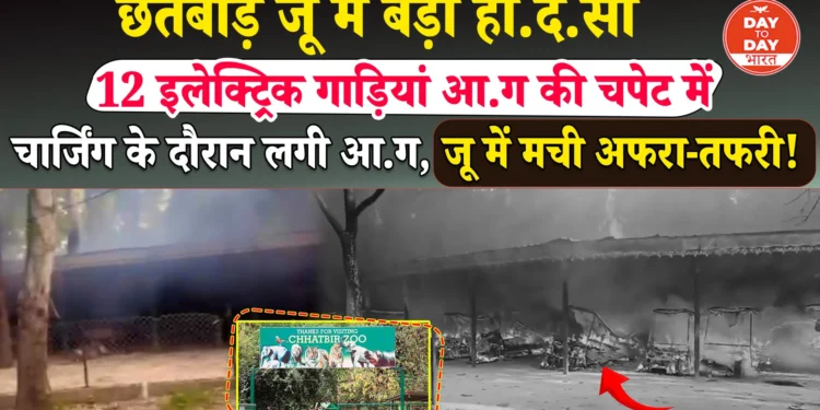 CHHATBIR ZOO में ई-रिक्शा में चार्जिंग के दौरान लगी आग,20 से 25 गाड़ियां जलकर राख , दमकल विभाग ने 30 मिनट में पाया आग पर काबू