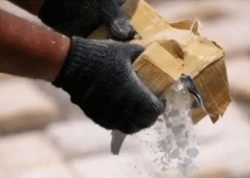 ड्रग्स नेटवर्क पर ईडी का शिकंजा, दिल्ली-NCR और जयपुर में लगातार छापे