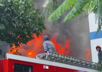 MAHARASHTRA के भिवंड़ी में रंगाई कारखाने में लगी भीषण आग, इलाके में  फैला काला धुआं,बचाव कार्य लगातार जारी