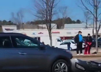 जॉर्जिया में सड़क पर उतरा विमान, ट्रैफिक के बीच टला बड़ा हादसा