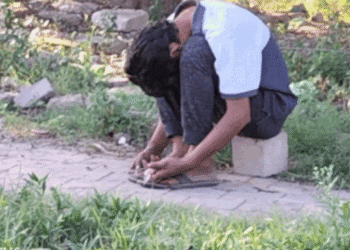 “चंडीगढ़ और पंजाब में नशे के रहस्यमयी मामलों और ‘जॉम्बी ड्रग’ की चर्चा”