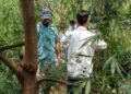 Chandigarh जंगल में मिला युवक का शव, शादी से पहले घर में पसरा मातम