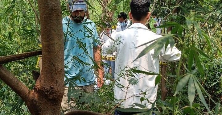 Chandigarh जंगल में मिला युवक का शव, शादी से पहले घर में पसरा मातम
