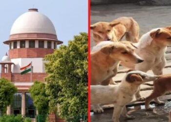 Supreme Court  का आवारा कुत्तों पर सख्त रुख और जन सुरक्षा पर जोर