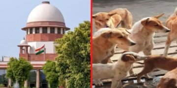 Supreme Court  का आवारा कुत्तों पर सख्त रुख और जन सुरक्षा पर जोर