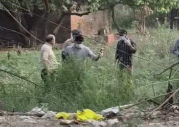 चंडीगढ़ मोटर मार्केट में झाड़ियों से मिला शव, ड्रग ओवरडोज की आशंका