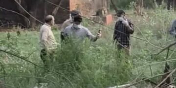चंडीगढ़ मोटर मार्केट में झाड़ियों से मिला शव, ड्रग ओवरडोज की आशंका