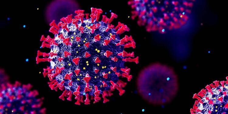 चांदीपुरा वायरस का कहर, गुजरात अलर्ट