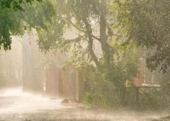 Haryana में भारी बारिश का अलर्ट