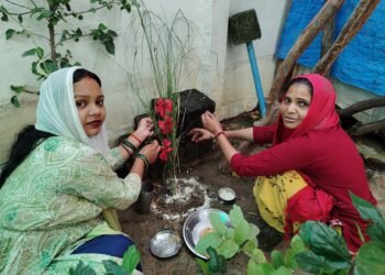 पारंपरिक परिधानों में सजीं महिलाएं, गिद्धे और लोकगीतों से गुलजार हुआ जीरकपुर का तीज समारोह