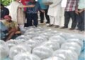 आत्मा योजना से 10 किसानों को मिला मछली बीज