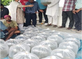 आत्मा योजना से 10 किसानों को मिला मछली बीज
