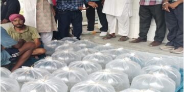 आत्मा योजना से 10 किसानों को मिला मछली बीज