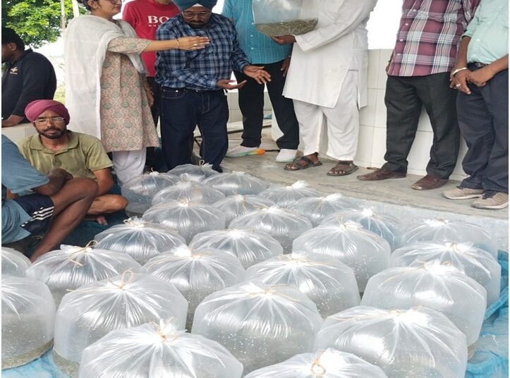 आत्मा योजना से 10 किसानों को मिला मछली बीज